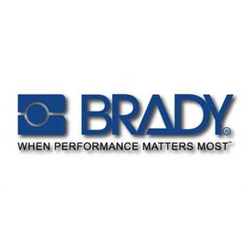 贝迪Brady